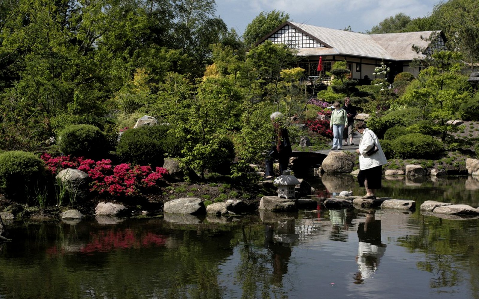 De-japanske-haver-foreningen-japanske-haver-5.jpg