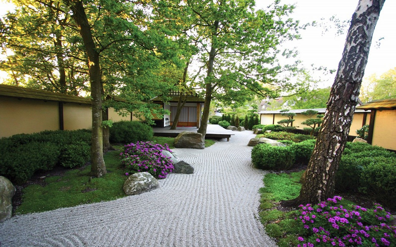 De-japanske-haver-foreningen-japanske-haver-7.jpg