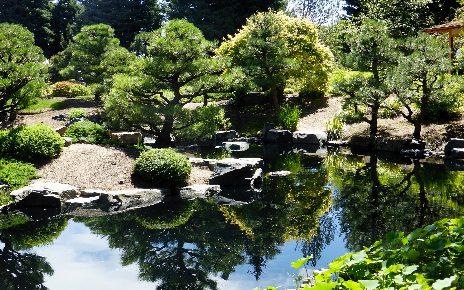 Denver-botanic-garden-01.jpg