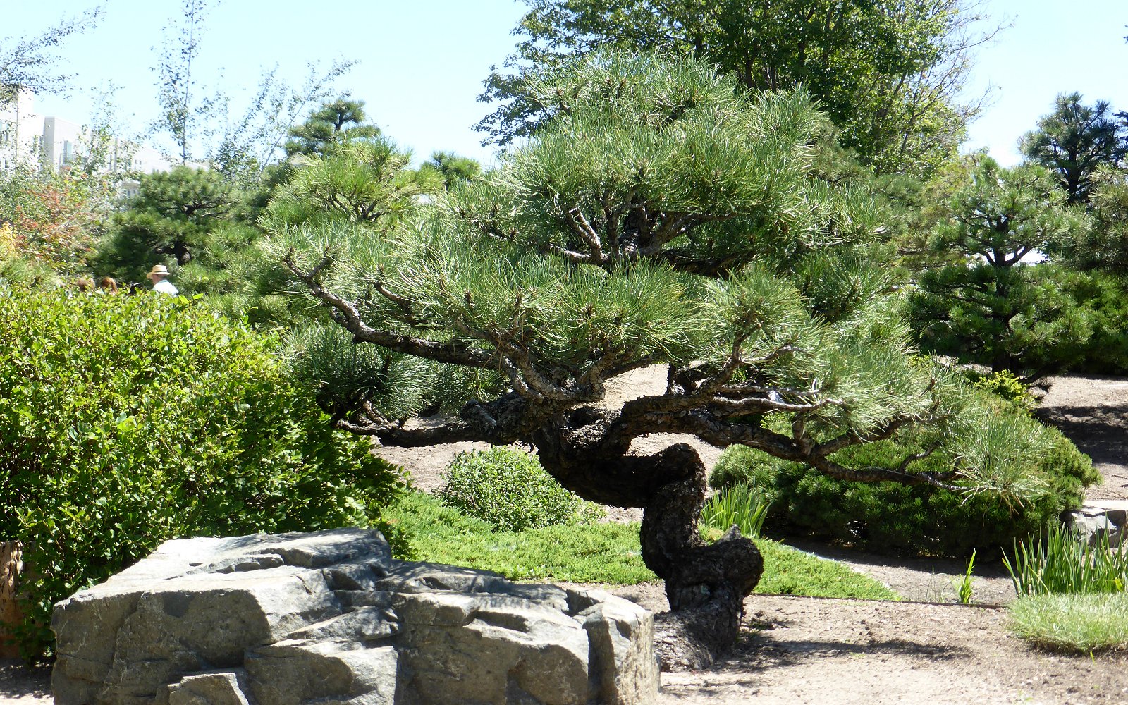 Denver-botanic-garden-09.jpg