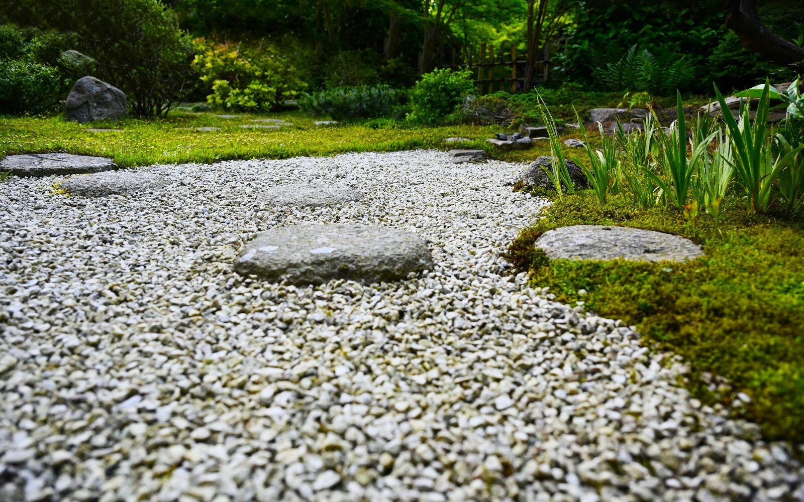 Foreningen-japanske-haver_mdlhave-579_1600-11-e1720430046883.jpg
