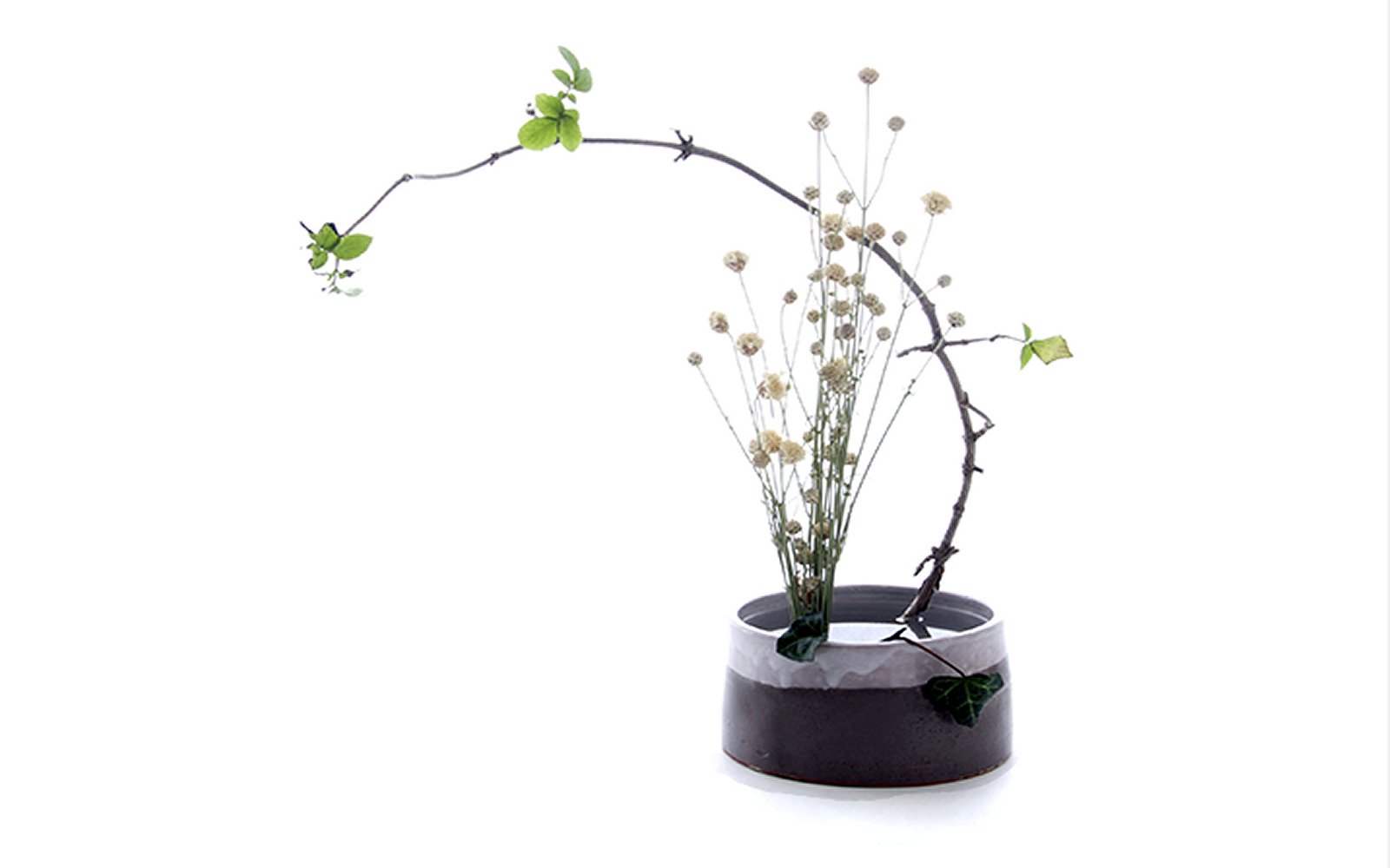 Ikebana_1_1600.jpg