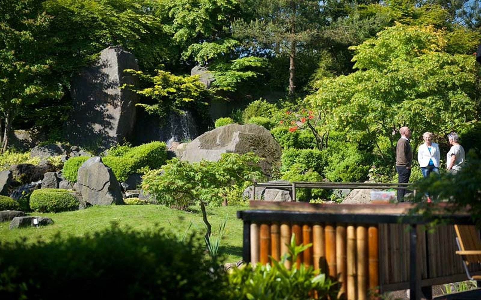 Park13-foreningen-japanske-haver_1.jpg