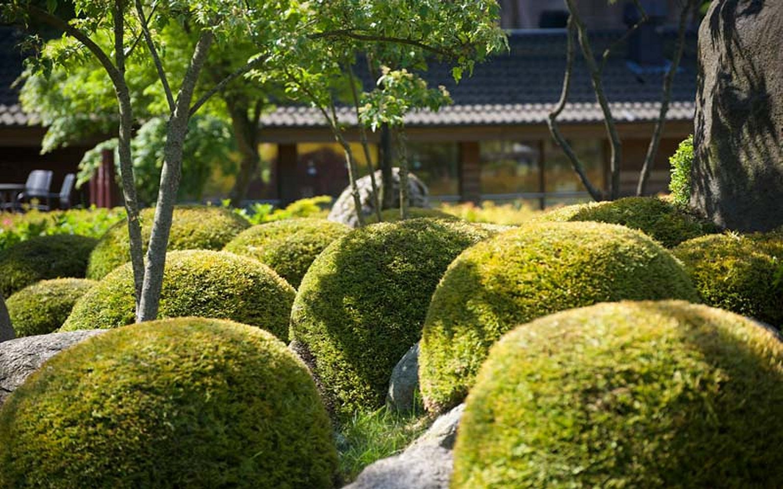 Park13-foreningen-japanske-haver_8.jpg