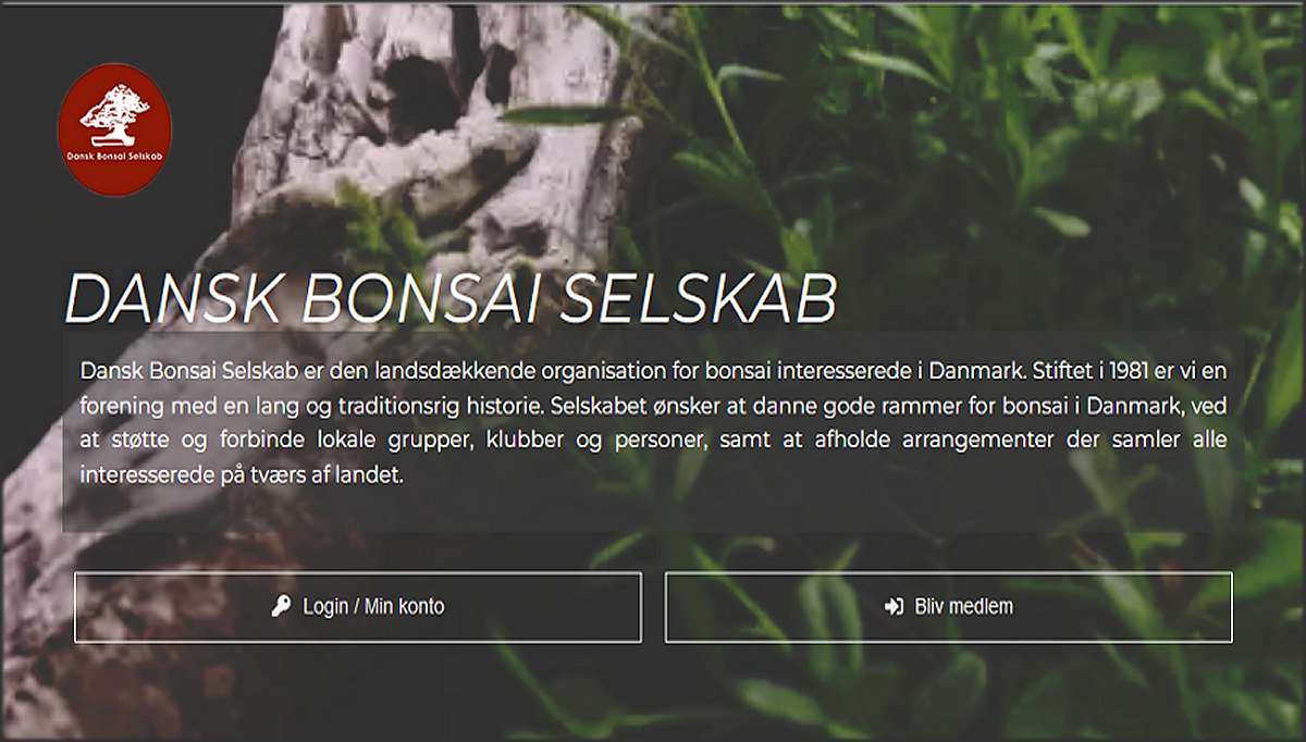 bonsai-danmark_dk_1200.png